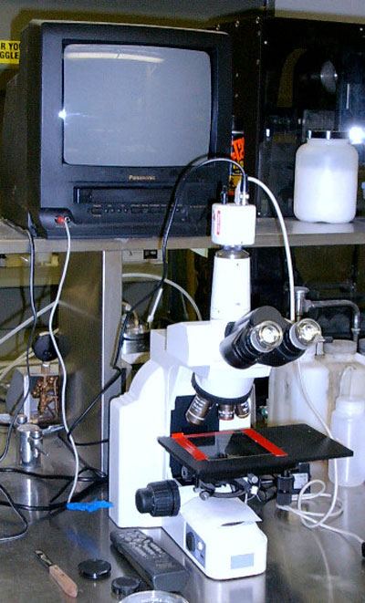 Nikon Inspection and Infrared Microscope