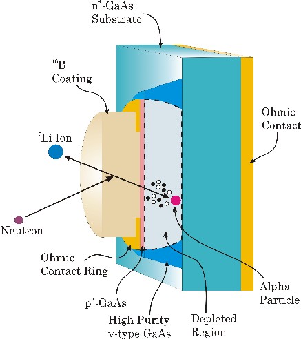 The basic construction of a GaAs self-biased neutron detector. 