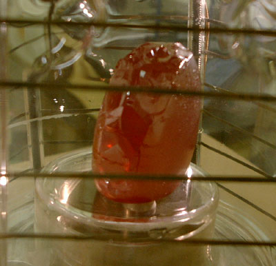 Large mercuric iodide crystal grown by the vertical method. 
